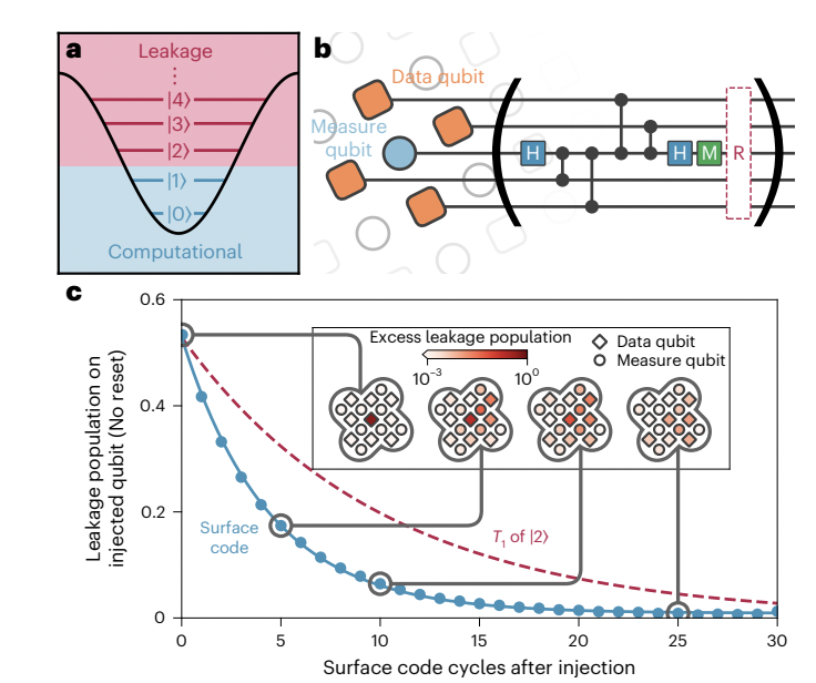 Researcher from Google Quantum AI Achieves Breakthrough in Leakage Management for Scalable Quantum Error Correction