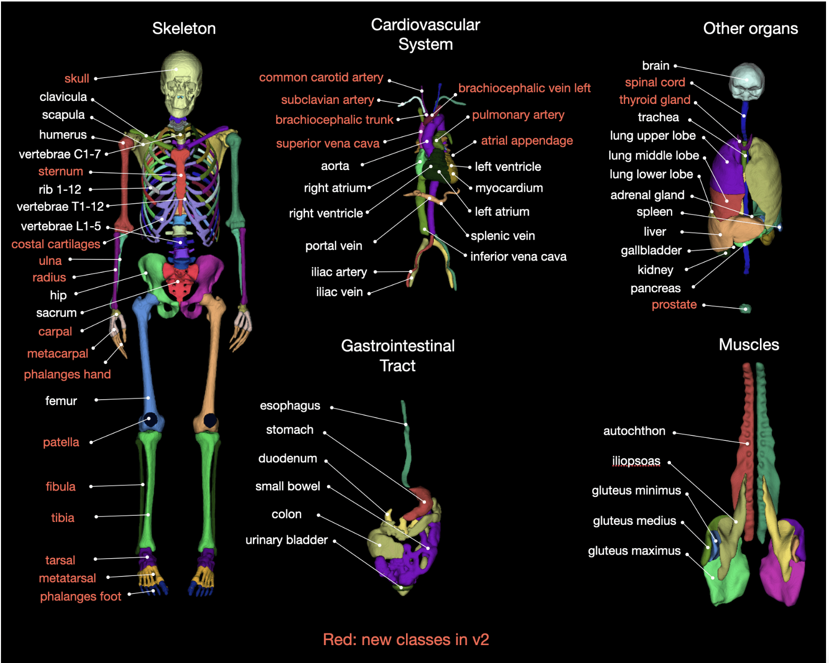 University Hospital of Basel Unveils TotalSegmentator: A Deep Learning Segmentation Model that can Automatically Segment Major Anatomical Structures in Body CT Images