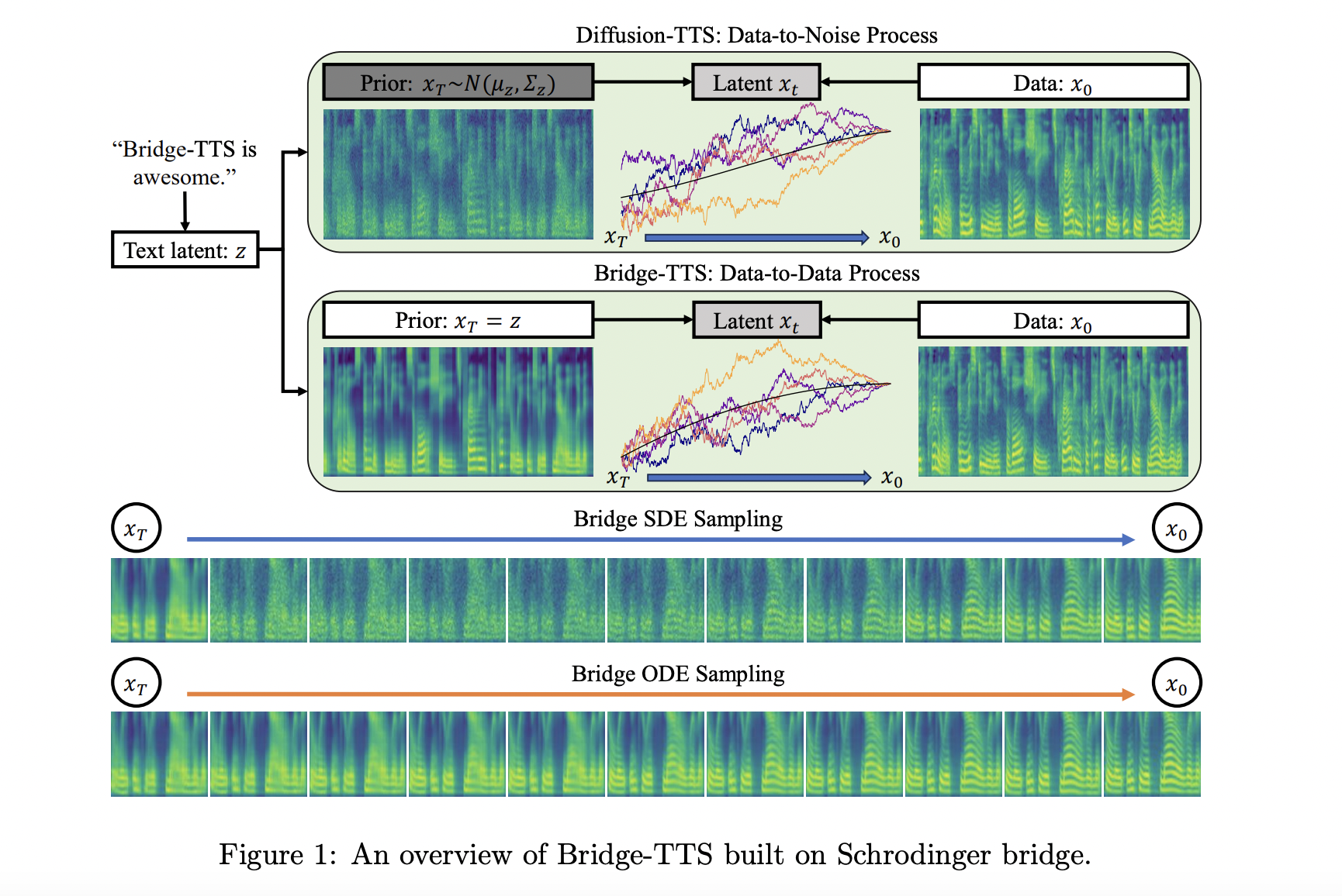 How Do Schrodinger Bridges Beat Diffusion Models On Text-To-Speech (TTS) Synthesis?