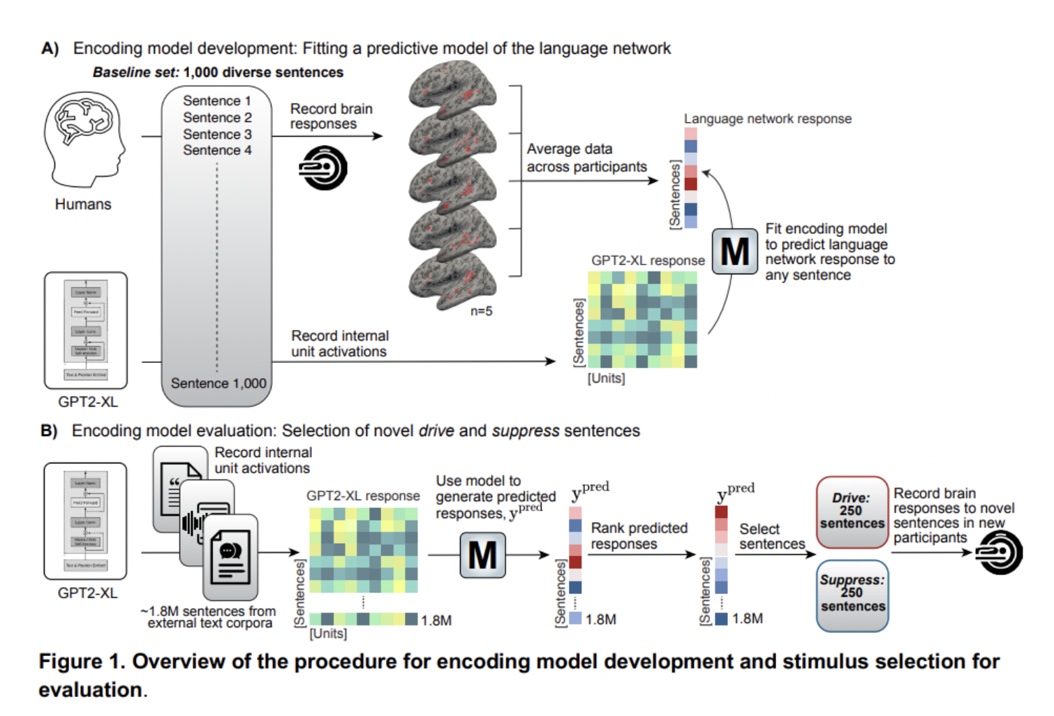 Unlocking the Brain's Language Response: How GPT Models Predict and Influence Neural Activity